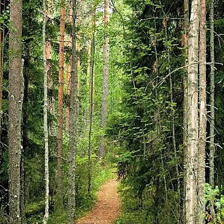 Julie 3* Joensuu